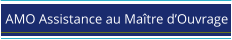 AMO Assistance au Maître d’Ouvrage