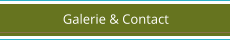 Galerie & Contact