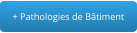 + Pathologies de Bâtiment
