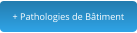 + Pathologies de Bâtiment