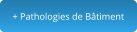 + Pathologies de Bâtiment